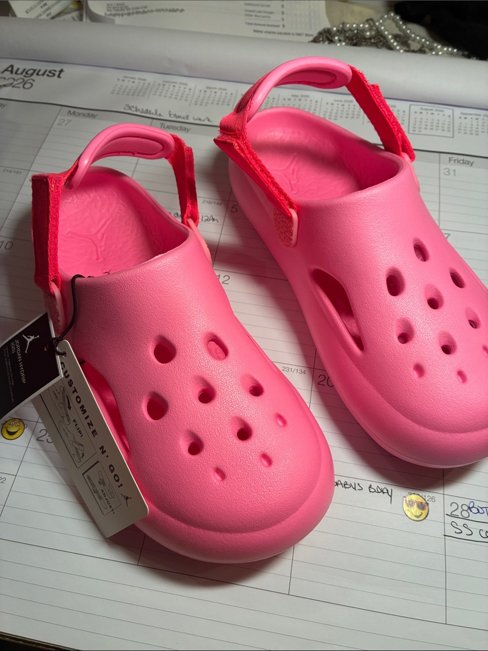 NWT Jordan Kids Pink Hydrip with Adjustable Back Strap